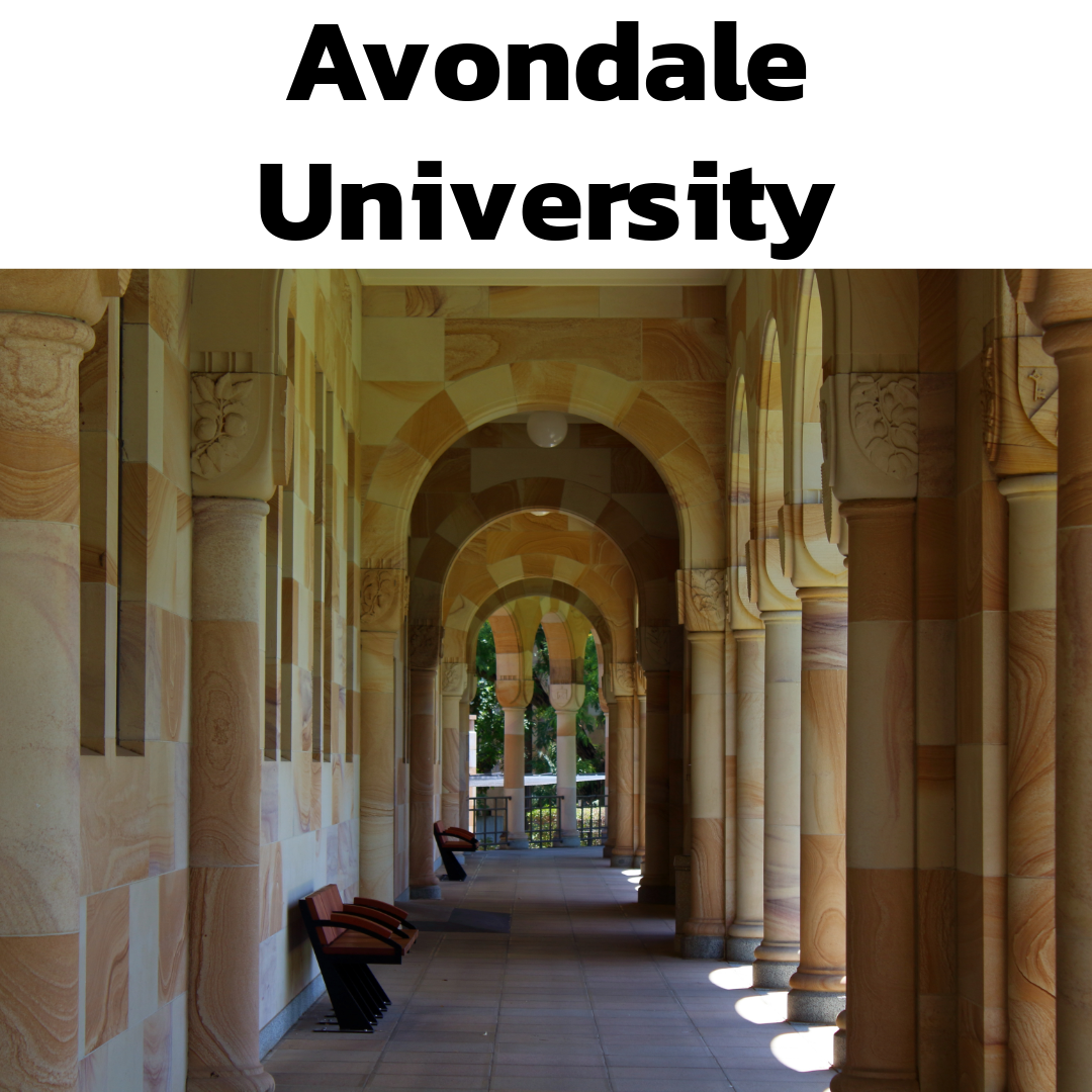 Avondale University